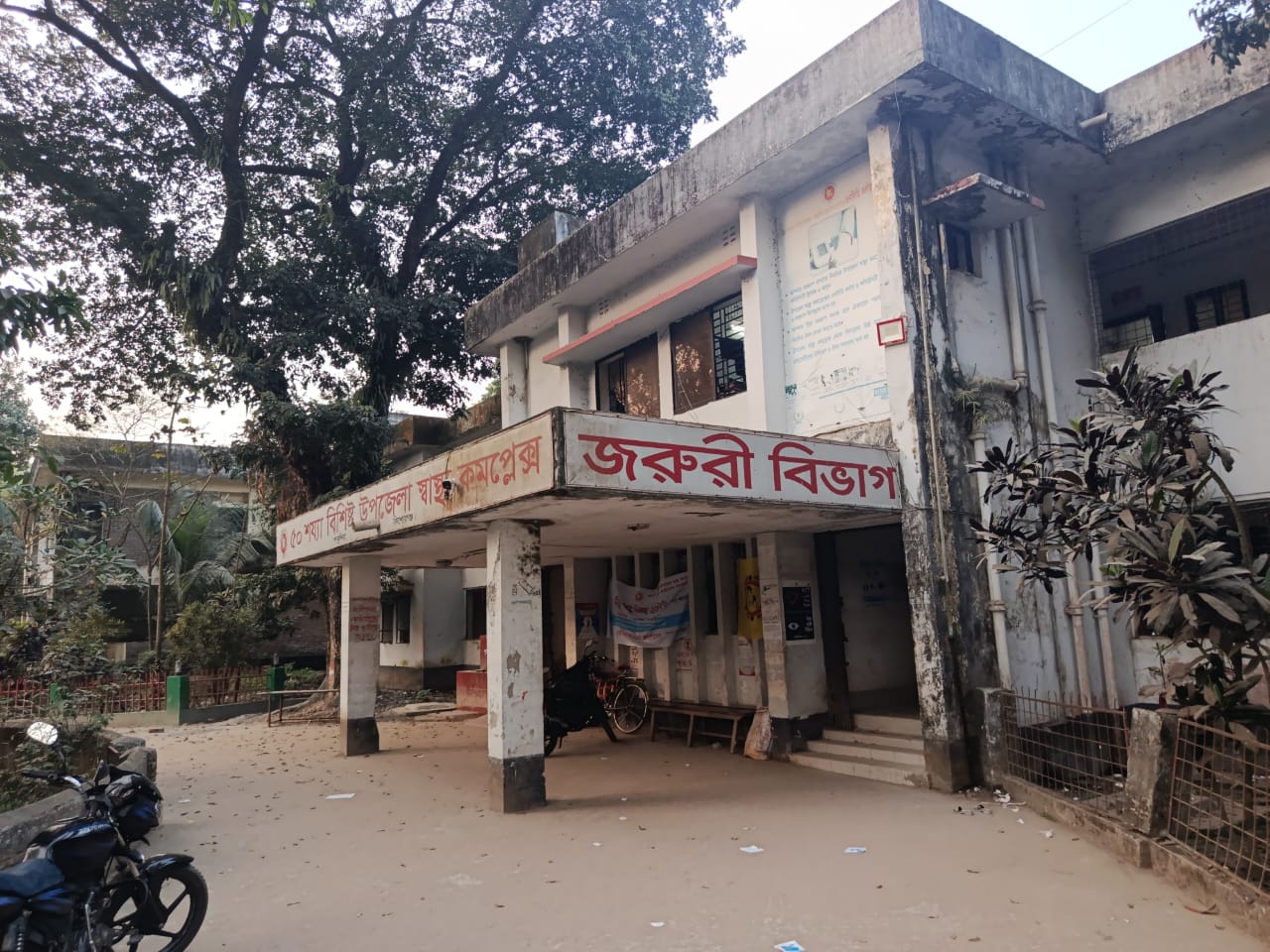 পাকুন্দিয়ায় পাগলা কুকুরের তাণ্ডব,আহত প্রায় ৩০ জন