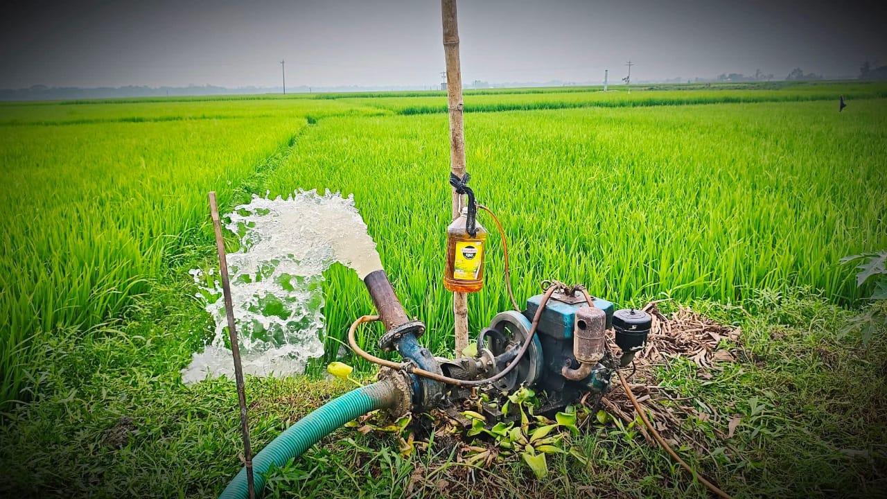 বোরো আবাদে ‘মরার ওপর খাঁড়ার ঘা’ ডিজেল সংকটে কৃষকদের সেচ কার্যক্রম ব্যাহত