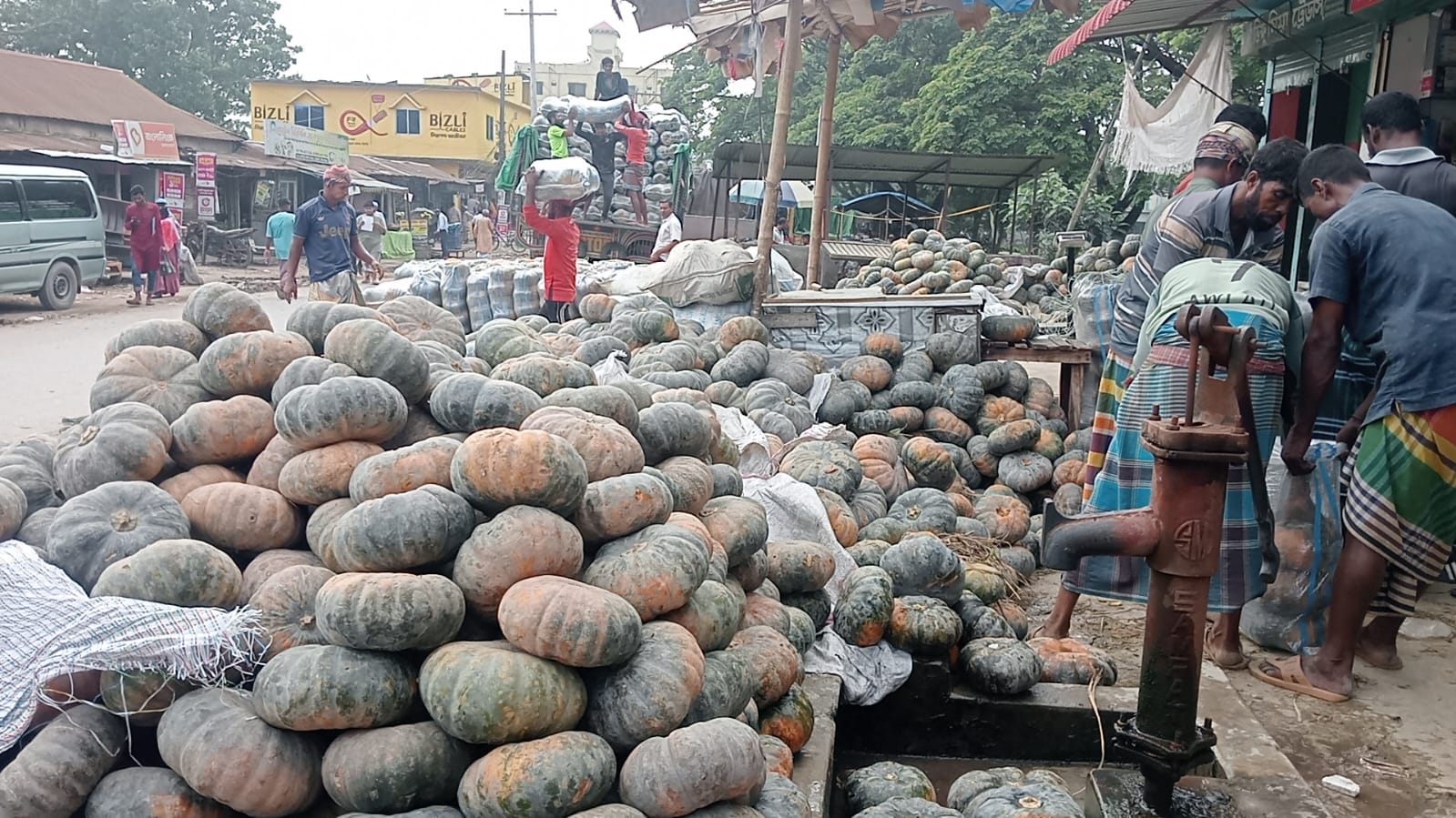 তাড়াইলে জ্বালানি সংকট: পরিবহন ব্যাহত, আড়তে পড়ে রয়েছে মিষ্টি কুমড়ার স্তুপ