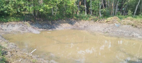 বিএনপি নেতা পরিচয়ে অন্যের পুকুরের বিভিন্ন প্রজাতির ২০ মণ মাছ লুটের অভিযোগ