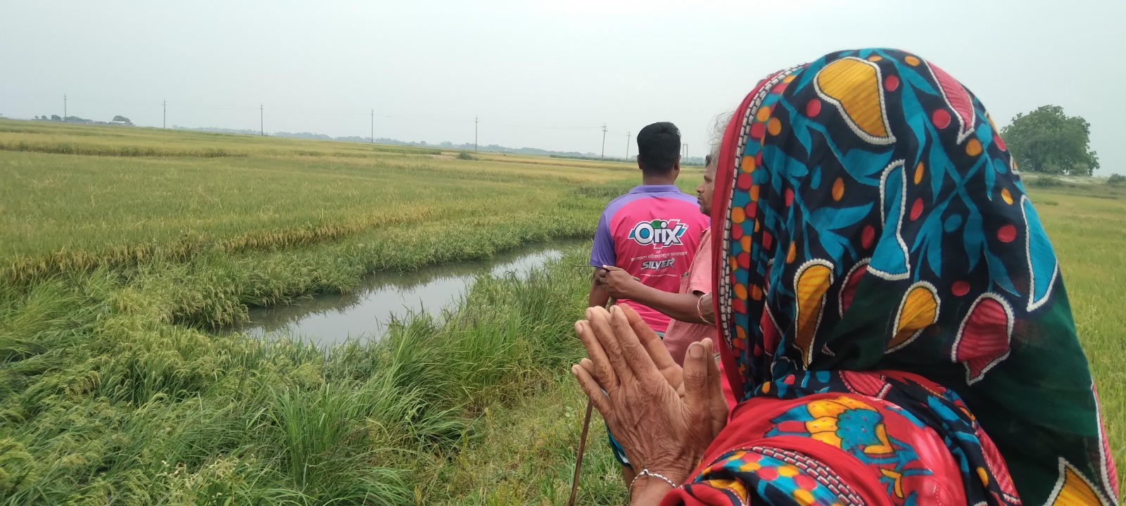 ব্রাহ্মণবাড়িয়ায় জমি বিক্রি করলেন মৃত ব্যক্তি!