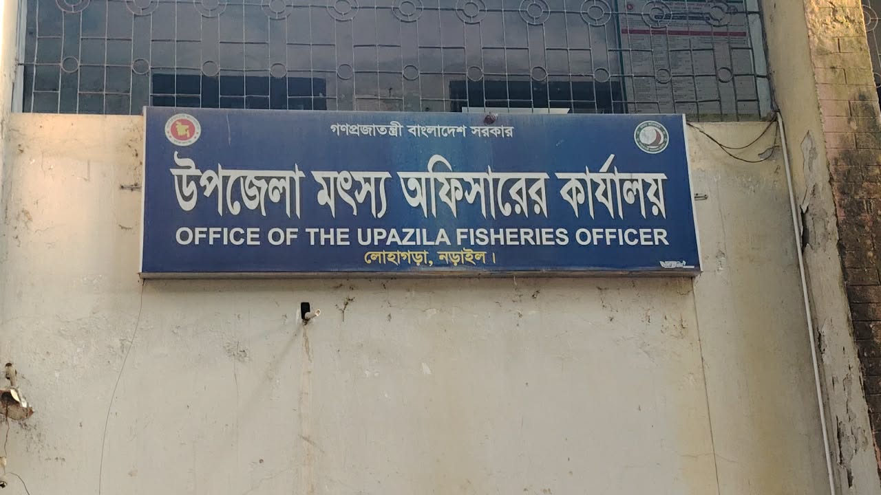 লোহাগড়ায় মৎস্য অফিসের ৬০ টি বকনা গরু বিতরনে  নয়ছয়-বেরিয়ে আসছে থলের বিড়াল