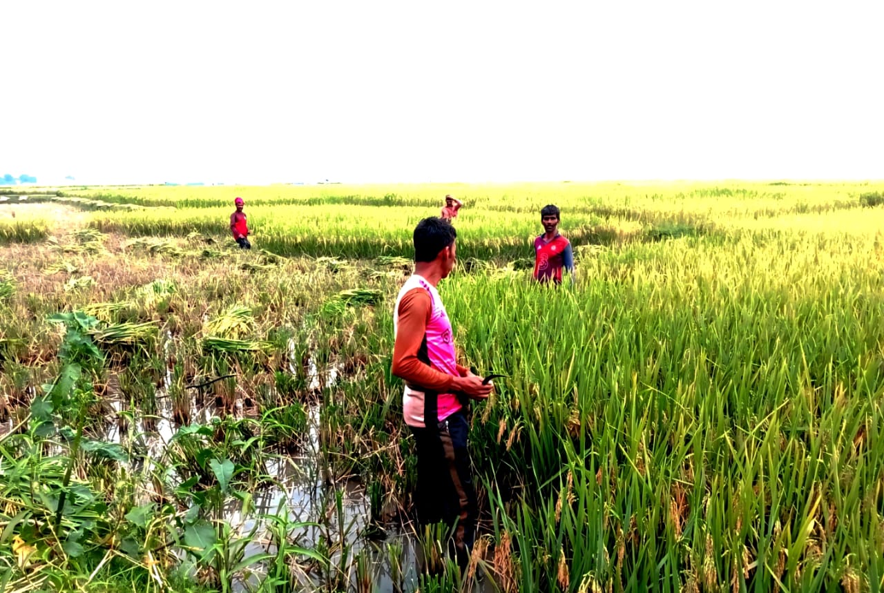 তাহিরপুরে শ্রমিক সংকটে ৩ শুল্ক স্টেশন বন্ধে সীমান্তে মাইকিং