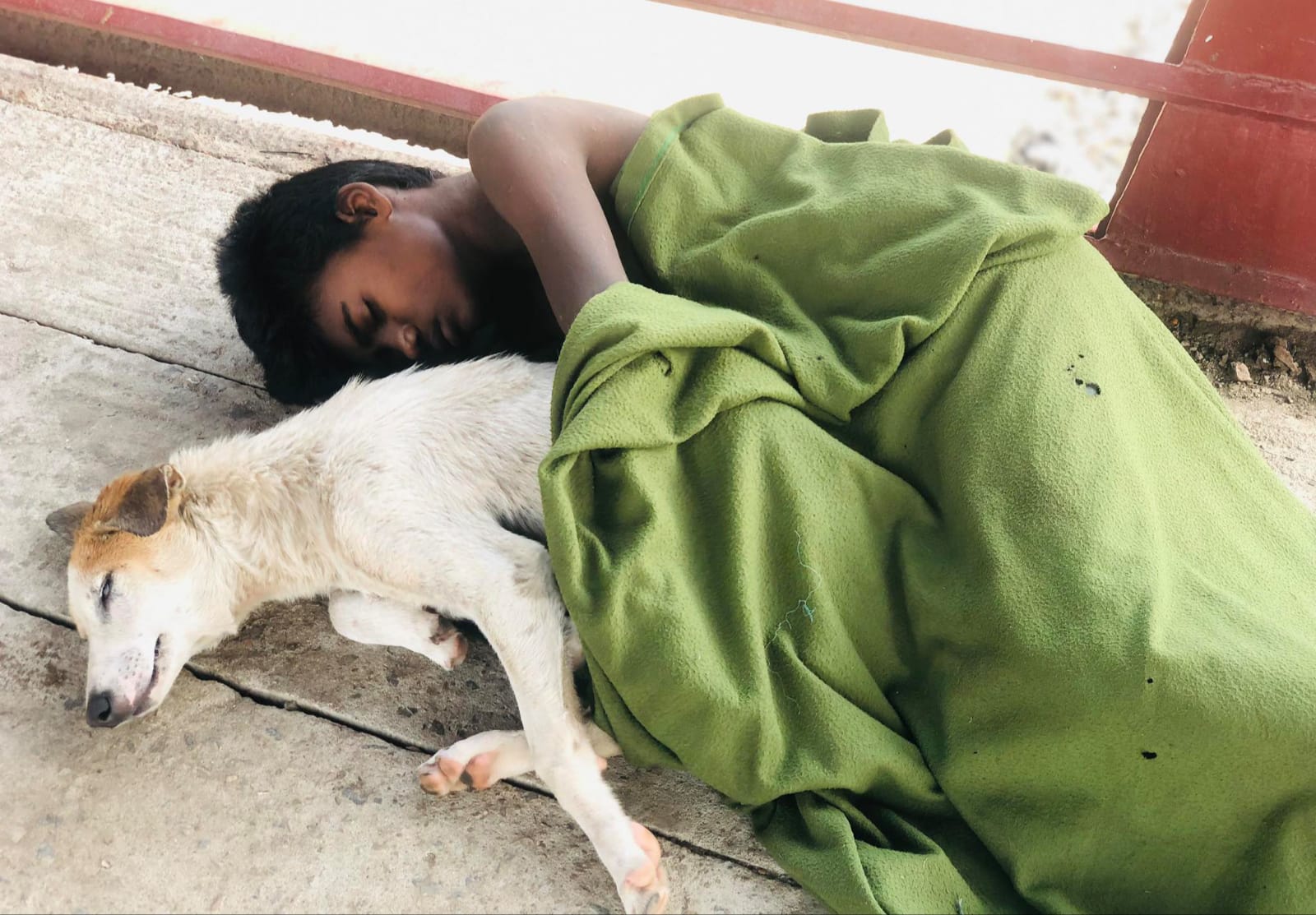 রাজধানীর অলিগলিতে পথশিশুদের ভয়ংকর নেশা ‘ড্যান্ডি’  ধ্বংস হচ্ছে ভবিষ্যৎ প্রজন্ম