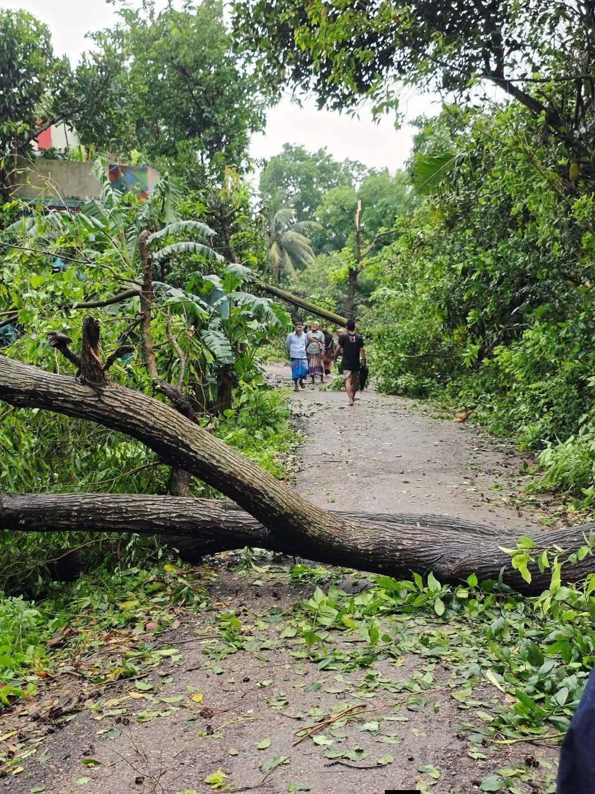 টেকনাফে কালবৈশাখীর তাণ্ডব: ব্যাপক ক্ষয়ক্ষতি
