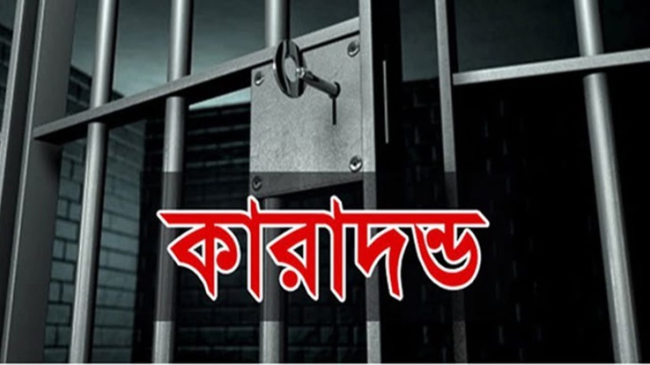 খুলনার নিরালা মোড়ে ছিনতাইচেষ্টার ঘটনায় দুইজনের কারাদণ্ড