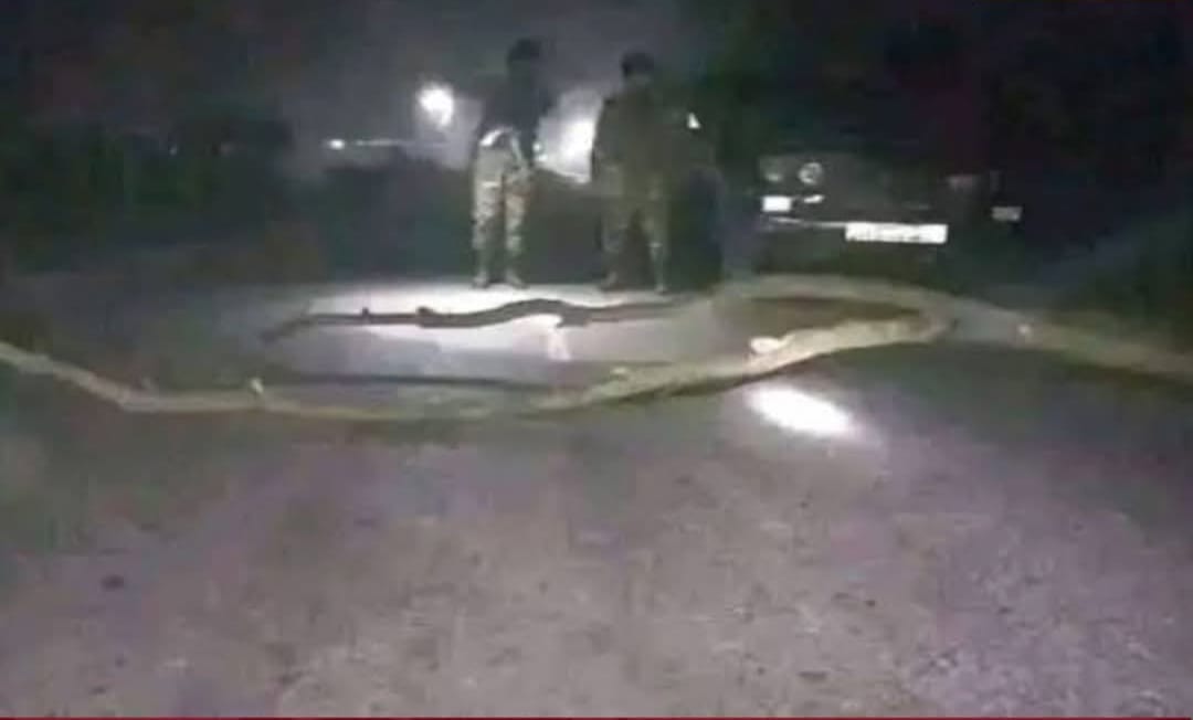ডাকাতির ভয়ে আতঙ্কে ভাটেরাবাসী