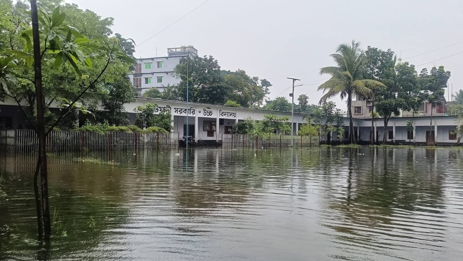 জলাবদ্ধতায় কটিয়াদী সরকারি উচ্চ বিদ্যালয়; চরম দুর্ভোগে শিক্ষক-শিক্ষার্থীরা