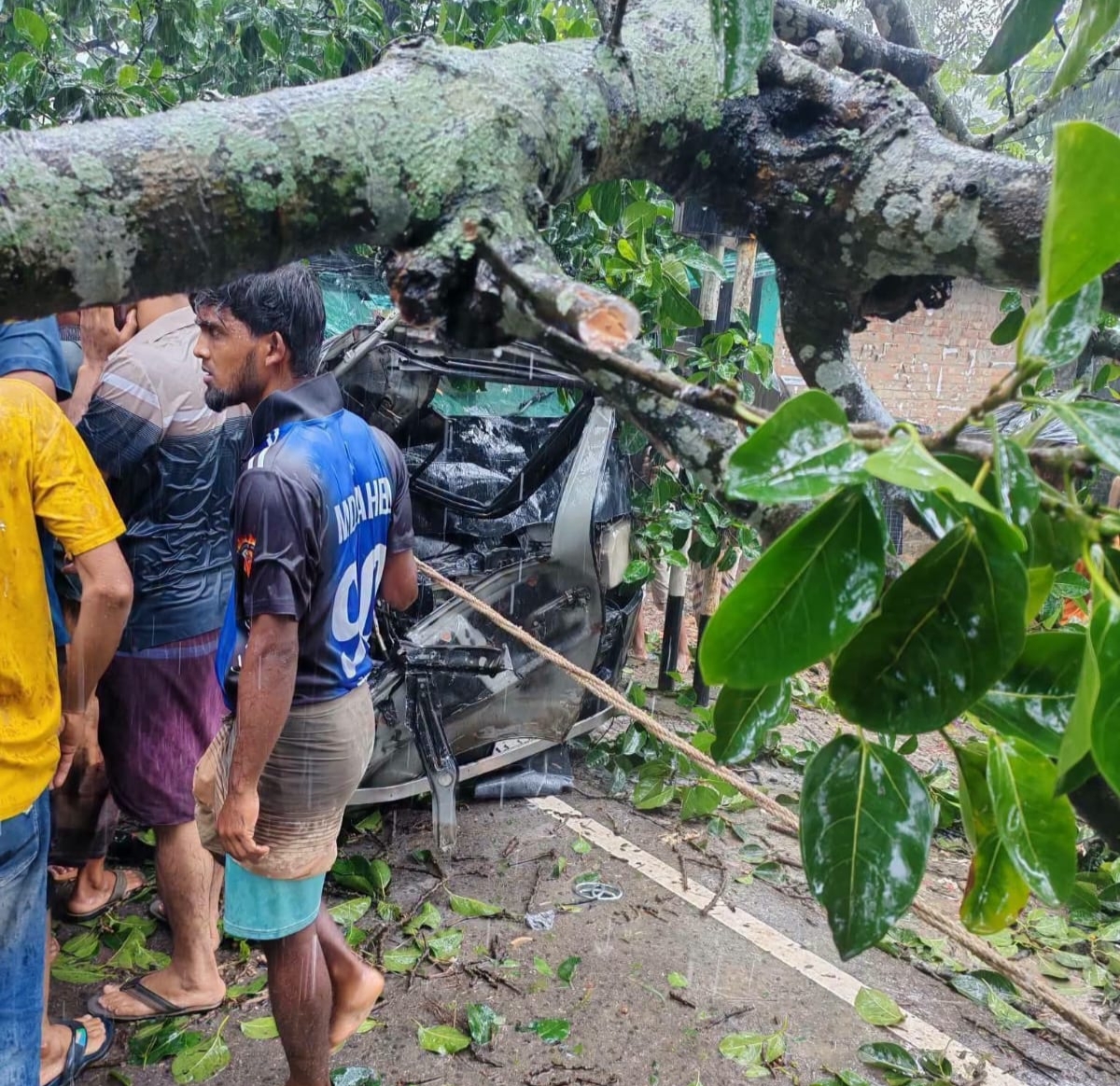 টেকনাফের হোয়াইক্যংয়ে চলন্ত গাড়ির ওপর ভেঙে পড়েছে গাছ