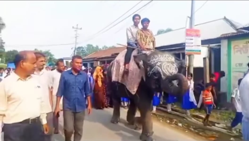 দীর্ঘ কর্মজীবন শেষে হাতির পিঠে চড়ে বিদায় নিলেন প্রধান শিক্ষক বিমল কুমার রায়